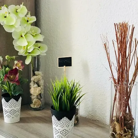 Los Cristianos Royale Estudios Apartamento